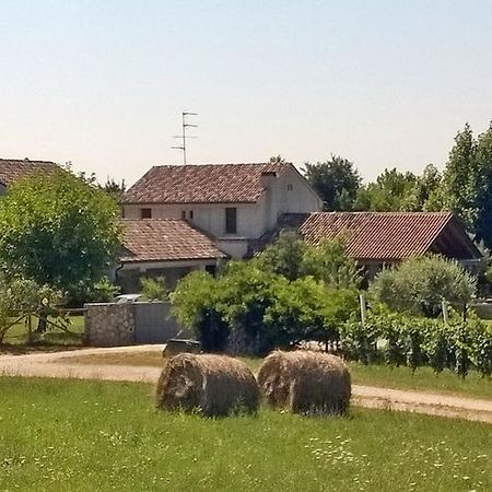 Il Giuggiolo Acomodação com café da manhã Conegliano Exterior foto