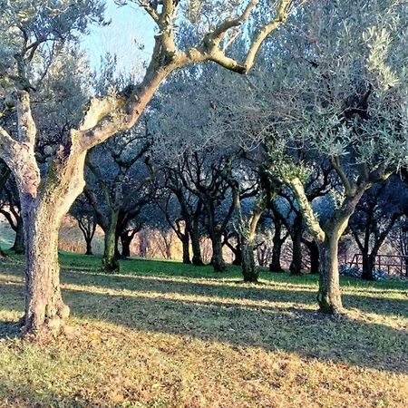Il Giuggiolo Acomodação com café da manhã Conegliano Exterior foto
