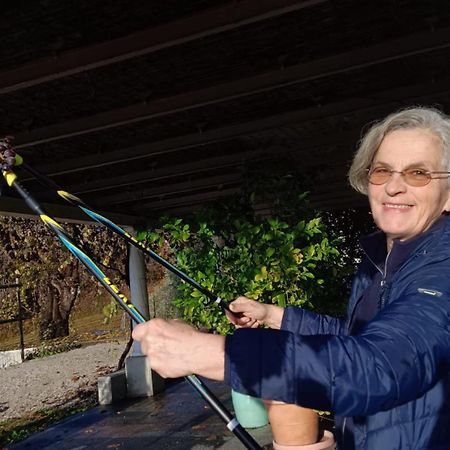 Il Giuggiolo Acomodação com café da manhã Conegliano Exterior foto