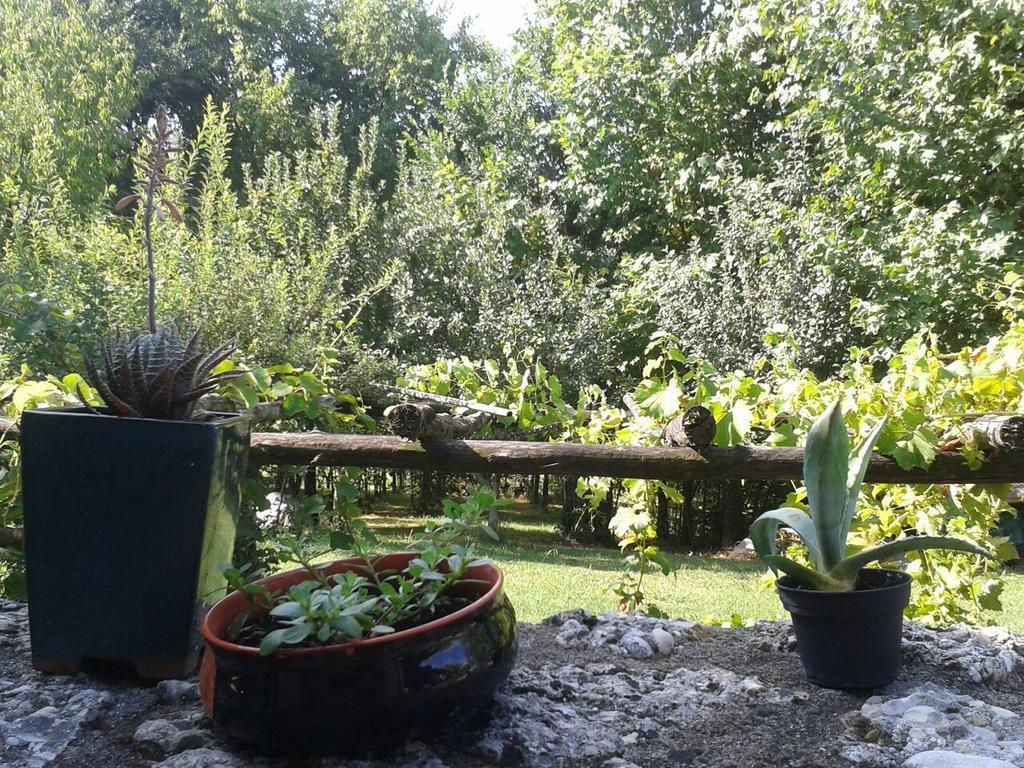 Il Giuggiolo Acomodação com café da manhã Conegliano Exterior foto