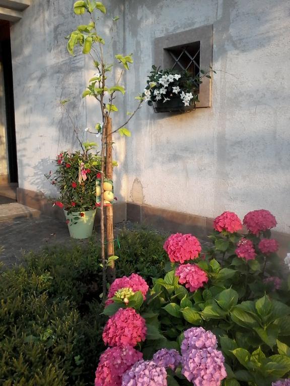 Il Giuggiolo Acomodação com café da manhã Conegliano Exterior foto