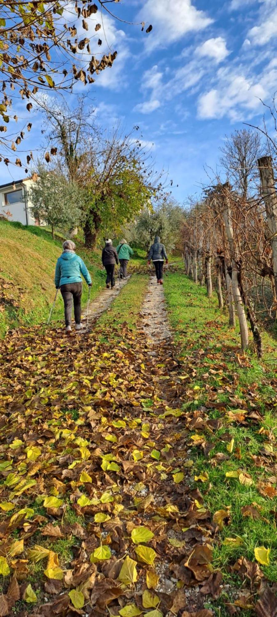 Il Giuggiolo Acomodação com café da manhã Conegliano Exterior foto