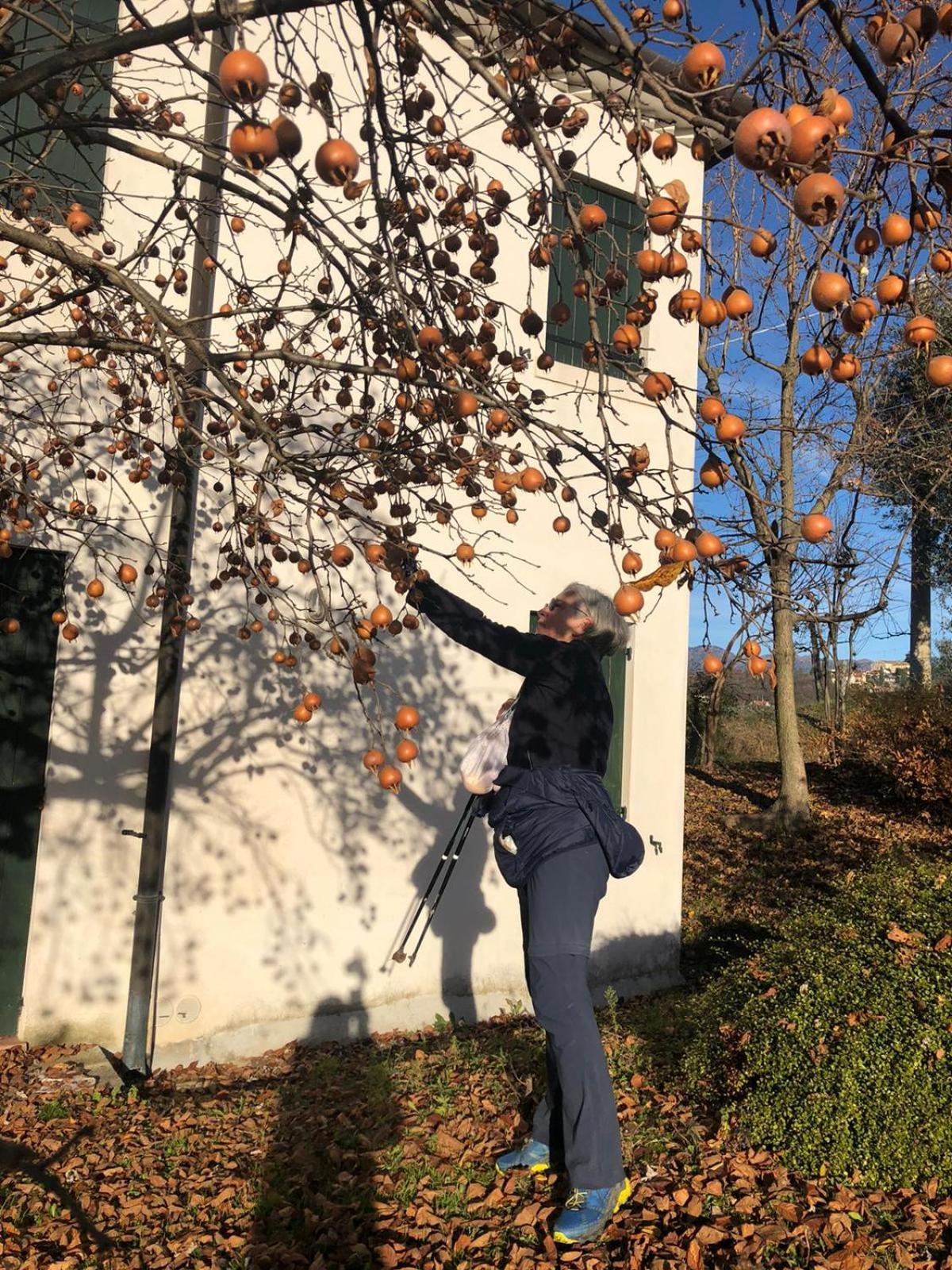 Il Giuggiolo Acomodação com café da manhã Conegliano Exterior foto