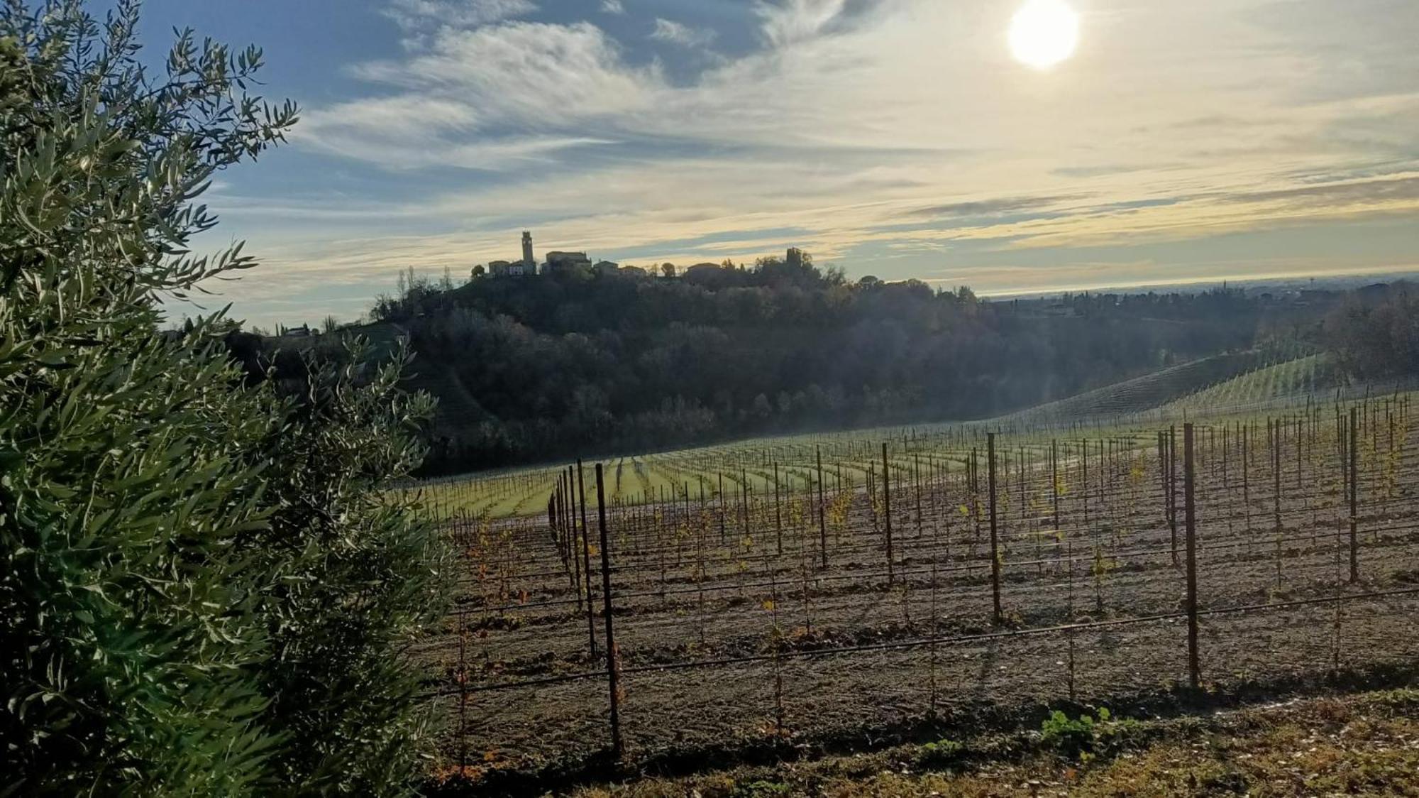 Il Giuggiolo Acomodação com café da manhã Conegliano Exterior foto