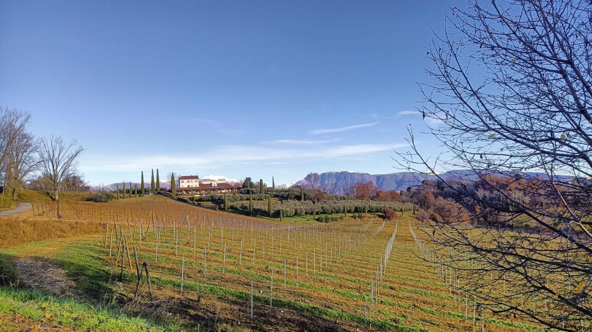 Il Giuggiolo Acomodação com café da manhã Conegliano Exterior foto