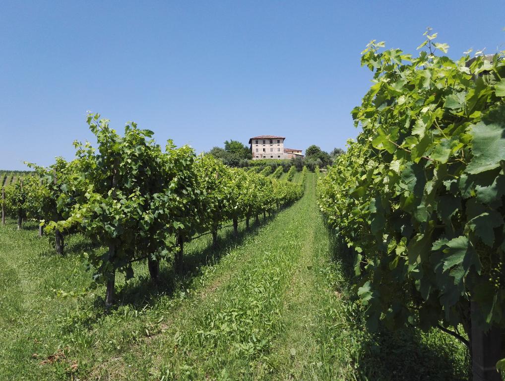 Il Giuggiolo Acomodação com café da manhã Conegliano Exterior foto